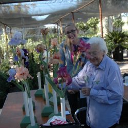 Iris show at Baker's Nursery