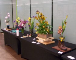 Iris Show at Christown Spectrum Mall