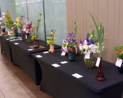 Iris Show at Christown Spectrum Mall