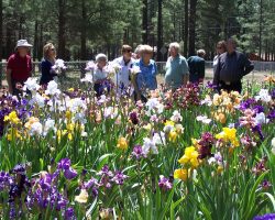 Forest Lakes Garden Visit and Judges Training
