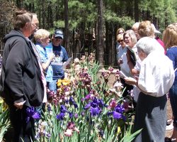 Forest Lakes Garden Visit and Judges Training