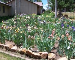 Forest Lakes Garden Visit and Judges Training