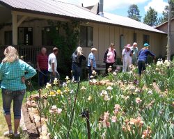 Forest Lakes Garden Visit and Judges Training