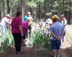 Garden Visit and Judges Training in Forest Lakes