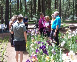 Garden Visit and Judges Training in Forest Lakes