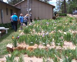 Garden Visit and Judges Training in Forest Lakes
