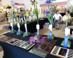 Iris Show at Christown Spectrum Mall