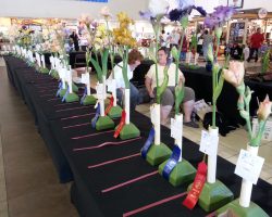 Iris Show at Christown Spectrum Mall