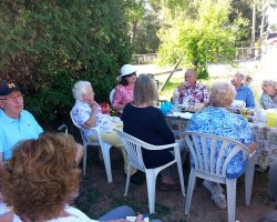 In garden judges training