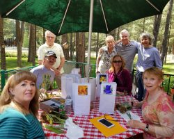 Rhizome Harvest in Forest Lakes