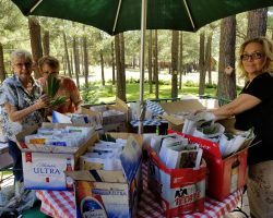 Rhizome Harvest in Forest lakes