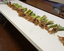 Club Meeting at the Valley Garden Center