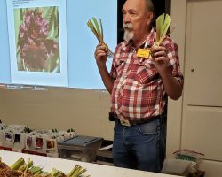 Club Meeting at the Valley Garden Center