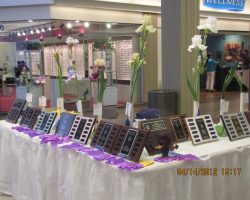 50th Anniversary Celebration (2019) - historic photos