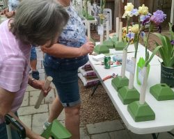 Late Iris Exhibit at Harper's Nursery