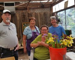 Late Iris Exhibit at Harper's Nursery