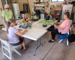 Rhizome Harvest in Sedona