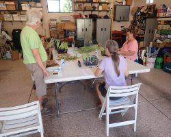 Rhizome Harvest in Sedona