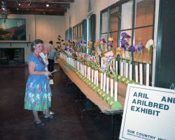 50th Anniversary Celebration (2019) - historic photos