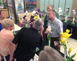 Iris Show at Christown Spectrum Mall