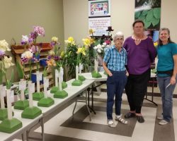 Early Iris Exhibit at Summerwinds Nursery
