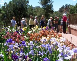 Sedona Garden Visit and Judges Training