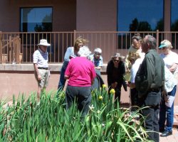 Sedona Garden Visit and Judges Training