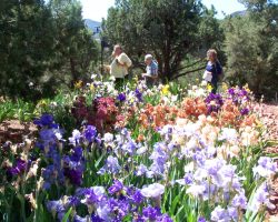 Sedona Garden Visit and Judges Training