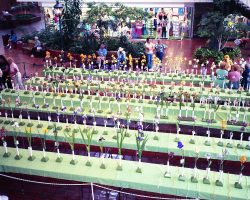 50th Anniversary Celebration (2019) - historic photos