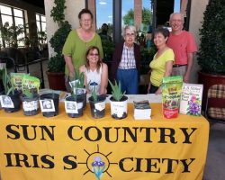 Early Iris Exhibit at Summer Winds Nursery