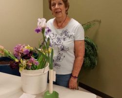 Early Iris Exhibit at Summer Winds Nursery