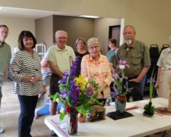 Iris Show at Summerwinds Nursery