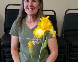 Iris Show at Summerwinds Nursery