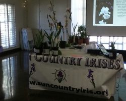 50th Anniversary Celebration (2019) - historic photos