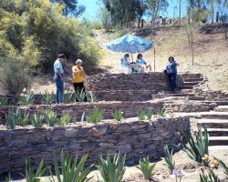 50th Anniversary Celebration (2019) - historic photos