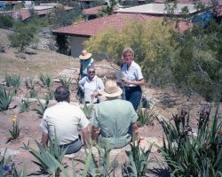 50th Anniversary Celebration (2019) - historic photos