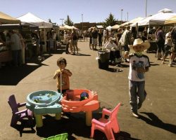 50th Anniversary Celebration (2019) - historic photos