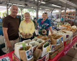 Rhizome Sales at Summerwinds Nursery