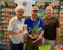 Rhizome Sales at Summerwinds Nursery