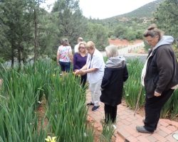 Garden Visit and Judges Training in Sedona