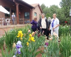 Garden Visit and Judges Training in Sedona