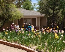 Garden Visit and Judges Training in Payson