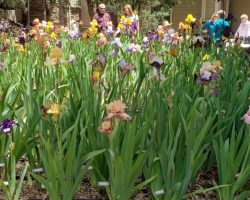Garden Visit and Judges Training in Payson