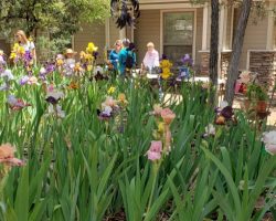 Garden Visit and Judges Training in Payson