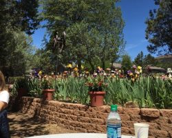 Garden Visit and Judges Training in Payson