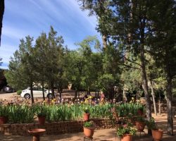 Garden Visit and Judges Training in Payson