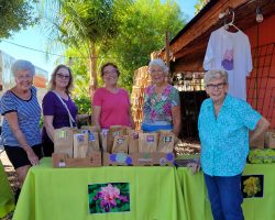 Sun Country Iris Society Rhizome Sale