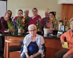 Sun Country Iris Society Artistic Design Training