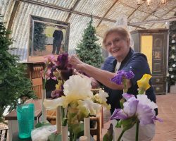 Sun Country Iris Society AIS Iris Show