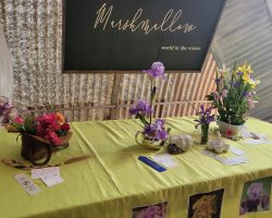 Sun Country Iris Society AIS Iris Show